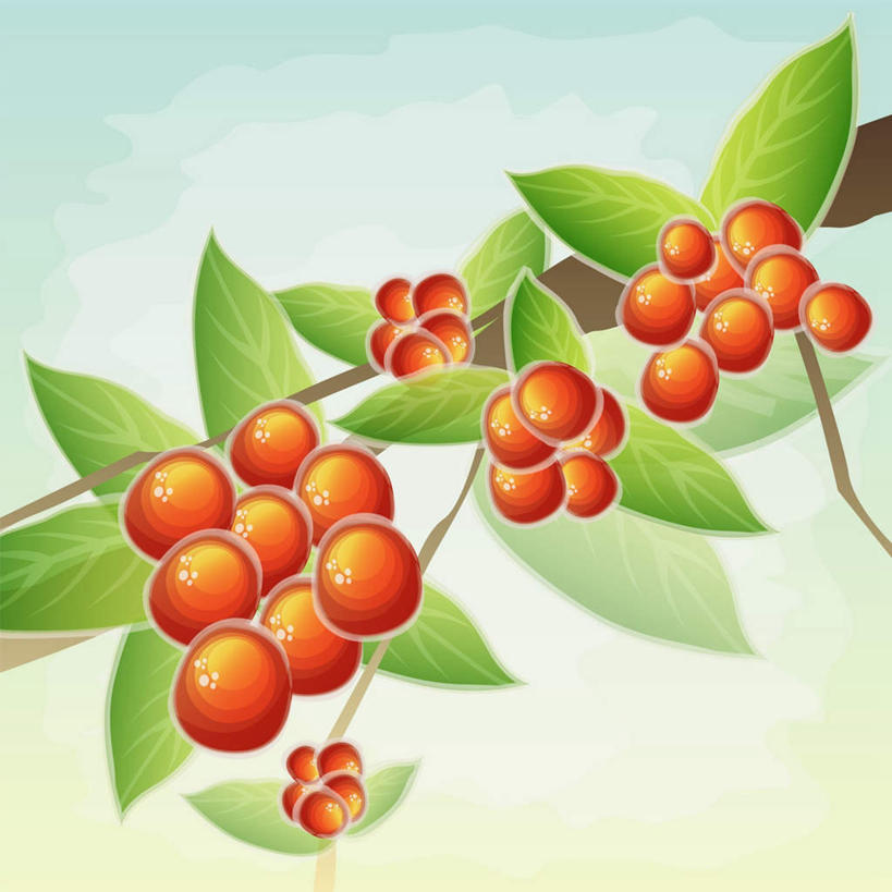 无人,方图,插画,室内,特写,白天,正面,数码,科技,葡萄,水果,叶子,许多,吊挂,悬挂,阴影,新鲜,网络,生食,食品,果实,绿叶,提子,高光,几何,计算机图形,挂,合成,藤,图画,画,食物,红色,嫩叶,有机食品,绿色食品,电脑合成图,数码合成图,合成图,漫画,写实,具体,具象,葡萄之王,叶,叶片,山葫芦,蒲桃,草龙珠,彩图