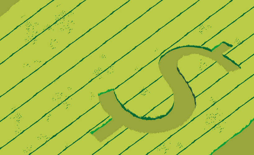 无人,农田,横图,插画,室内,白天,正面,庄稼,农作物,数码,科技,阴影,网络,标志,字符,字母,高光,几何,计算机图形,合成,图画,标识,画,一个,单个,电脑合成图,数码合成图,合成图,漫画,写实,具体,具象,美元符号,彩图,耕地,庄稼田