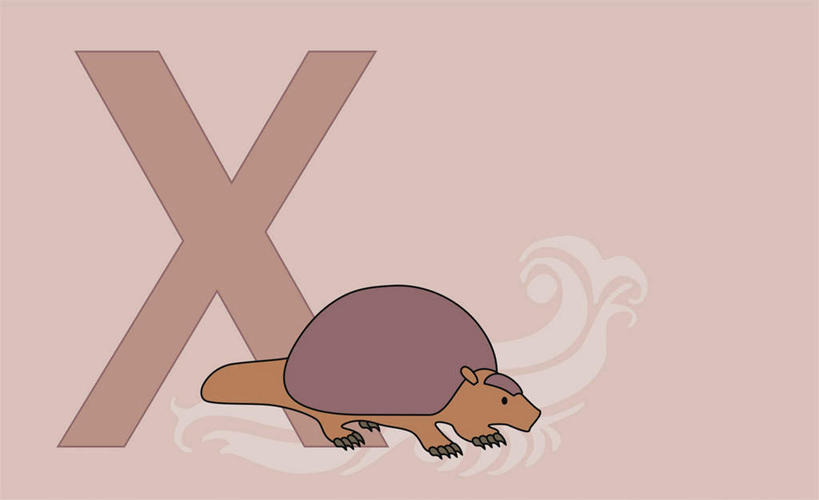 无人,站,横图,插画,室内,白天,正面,数码,科技,哺乳动物,野生动物,阴影,红色背景,网络,英文,标志,文字,字符,字母,高光,几何,计算机图形,合成,图画,注视,标识,画,一个,一只,动物,观察,看,站着,单个,观看,英文字母,电脑合成图,数码合成图,察看,合成图,关注,漫画,写实,具体,具象,犰狳,倭犰狳,站立,彩图,全身