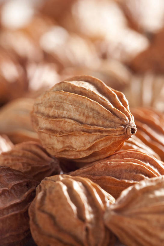 无人,竖图,特写,静物,中国,亚洲,许多,准备,堆叠,丰富,材料,瓷器,调料,香料,食品,草药,药草,调味品,很多,饮食,摄影,中医,东亚,彩图,影棚拍摄,砂仁,成分