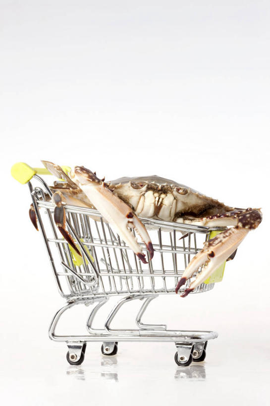 无人,竖图,留白,白色背景,购物,购物车,螃蟹,食品,动物,模型,趴着,模仿,摄影,影棚,灵感,幽默,创造力,摄影棚,健康食物,海产,彩图,影棚拍摄,拍摄