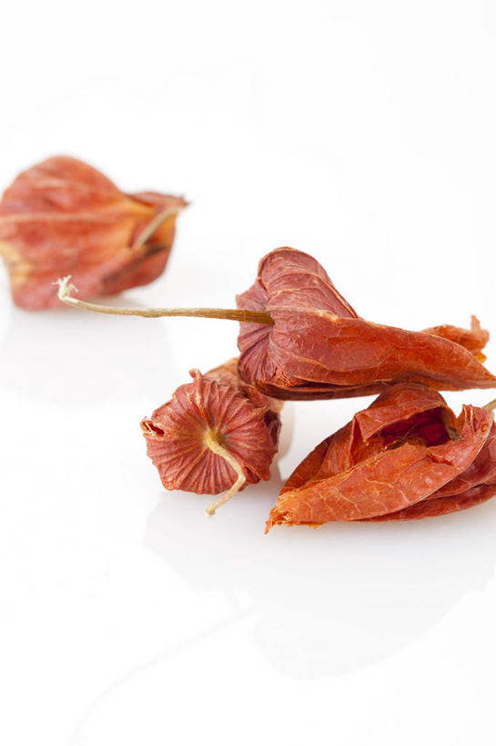 无人,竖图,特写,留白,白色背景,静物,北京,中国,亚洲,药,反射,材料,瓷器,草药,药草,自然,干花,健康,摄影,有机食品,影棚,简单,草本,中国文化,摄影棚,干的,营养品,中医,东亚,替代疗法,锦灯笼,彩图,影棚拍摄,拍摄