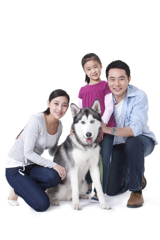 儿童,成年人,中年人,三个人,家庭,父母,母亲,父亲,女儿,笑,微笑,露齿笑,竖图,白色背景,正面,快乐,幸福,纯洁,骄傲,宠物,狗,北京,中国,亚洲,休闲装,小孩,动物,健康,温暖,温馨,一家人,家畜,可爱,乐趣,童年,童趣,搭,哈士奇,哈士奇犬,摄影,影棚,生活方式,和睦,享乐,搭着,摄影棚,西伯利亚雪橇犬,雪橇犬,肖像,童真,东亚,狗链,东亚人,烂漫,无邪,爱抚,忠诚,哈士奇狗,西伯利亚哈士奇,无忧无虑,天真,男人,年轻男性,年轻女性,女孩,女人,亚洲人,中国人,孩子,年轻人,犬,跪着,拥抱,彩图,影棚拍摄,爱,欢乐,拍摄,融洽,西伯利亚犬
