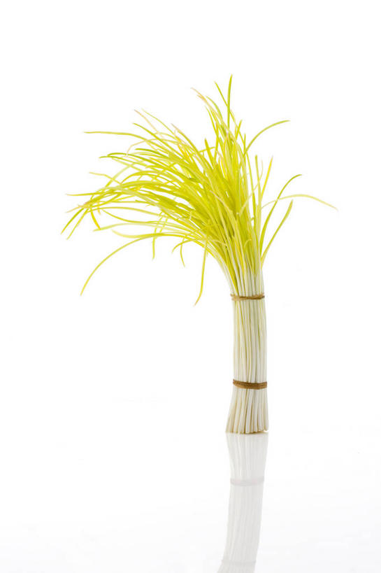 无人,竖图,留白,白色背景,农业,蔬菜,蒜,静物,叶子,捆扎,准备,堆叠,反射,食品,茎,饮品,捆,饮食,食物,饮料,绿色,摄影,有机食品,蒜苗,简单,可口,清新,健康食物,纯净,蒜薹,蒜毫,蒜苔,适口,彩图,影棚拍摄