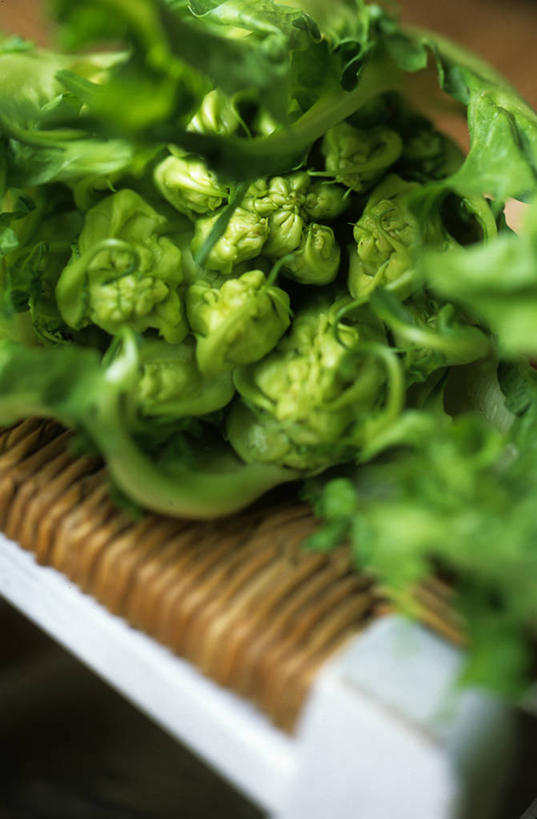 无人,竖图,室内,白天,蔬菜,准备,菊苣,沙拉,美味,食品,图像,饮食,绿色,诱惑,摄影,膳食,清新,健康食物,彩图