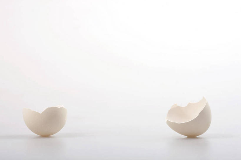 无人,横图,留白,白色背景,静物,开,鸟类,摄影,影棚,孵化,创造力,脆弱,摄影棚,卵,想法,开端,彩图,影棚拍摄,拍摄