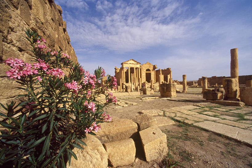 无人,横图,室外,白天,建筑,非洲,突尼斯,艺术,柱子,豪华,图像,历史,废墟,花,摄影,宁静,考古学,风格,古典风格,科林斯柱式,富丽,柱式,彩图,旅行,马格里布,过去