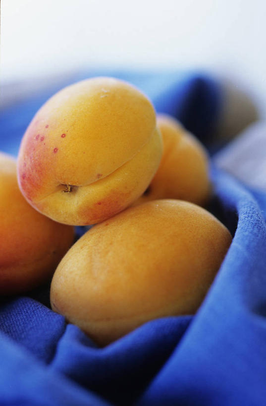 无人,竖图,室内,白天,杏,静物,水果,食品,果皮,图像,黄色,四个,摄影,清新,彩图