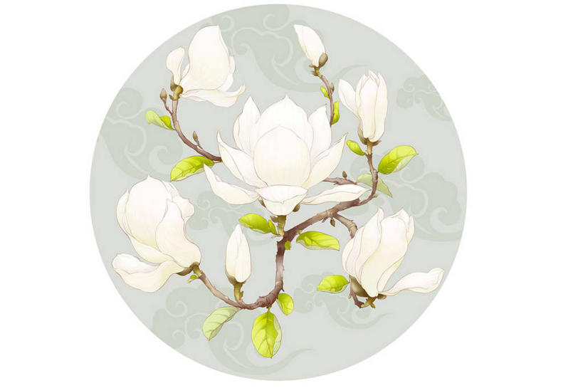 无人,横图,彩色,插画,留白,白色背景,幸福,运气,数码,科技,玉兰花,阴影,装饰,网络,圆形,符号,高光,几何,计算机图形,祝福,合成,图画,传统,画,祥云,花,花朵,白色,花束,春天,美女,财富,摄影,影棚,五颜六色,色彩斑斓,电脑合成图,数码合成图,珍贵,优美,合成图,中国文化,摄影棚,五彩缤纷,工笔画,古典风格,漫画,纯净,辛夷,写实,具体,具象,五彩斑斓,木兰花,五光十色,玉兰,应春花,木兰,白玉兰,玉树,彩图,影棚拍摄,欢乐,拍摄,望春,传统文化,玉堂春