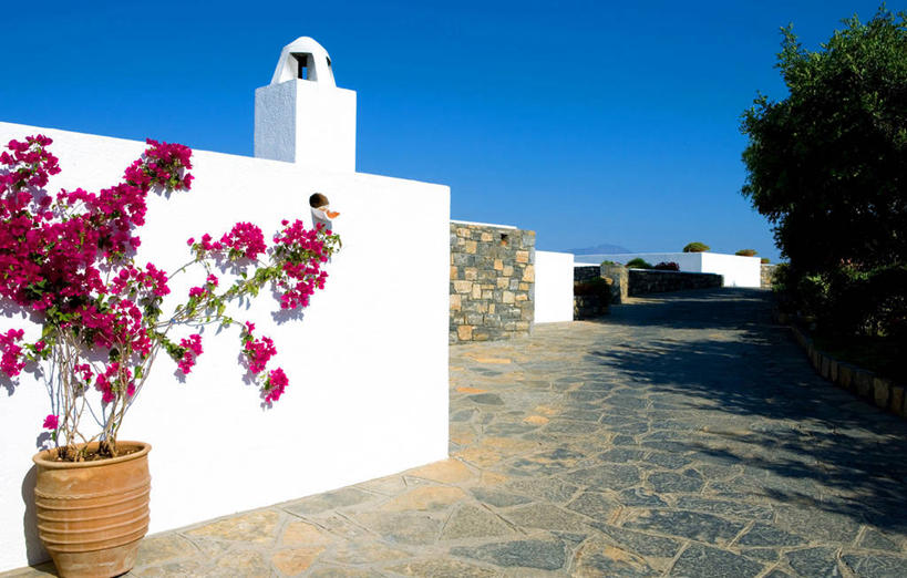 无人,横图,室外,建筑,酒店,希腊,欧洲,九重葛,三角梅,图像,花,蓝色,白色,风景,天空,摄影,万里无云,克里特岛,三叶梅,毛宝巾,簕杜鹃,叶子花,叶子梅,南美紫茉莉,三角花,彩图,旅行