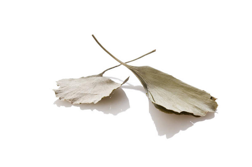 无人,横图,留白,白色背景,银杏树,静物,叶子,北京,中国,亚洲,反射,材料,瓷器,草药,药草,传统,自然,干花,摄影,简单,草本,中国文化,干的,中医,东亚,替代疗法,银杏,彩图,影棚拍摄,传统文化,成分