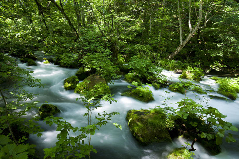 无人,横图,室外,白天,旅游,度假,美景,水,日本,景观,苔藓,娱乐,树,绿色,风景,小溪,自然,享受,休闲,景色,放松,摄影,流动,宁静,清新,自然风光,青森县,十和田,岩石,彩图,旅行