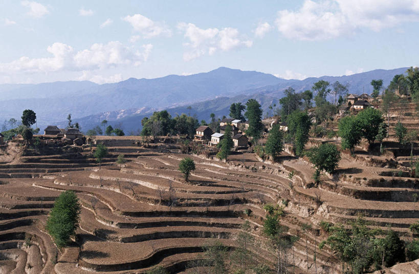 无人,横图,室外,白天,农业,梯田,美景,尼泊尔,亚洲,地形,景观,田地,乡村,山谷,首都,图像,风景,自然,景色,摄影,自然风光,南亚,加德满都,尼泊尔王国,加都,德满都,彩图,旅行,纳加阔特
