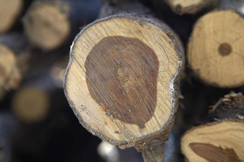 无人,横图,室外,正面,仰视,北京,中国,木材,墙,传统,摄影,中国文化,东亚,彩图,低角度拍摄