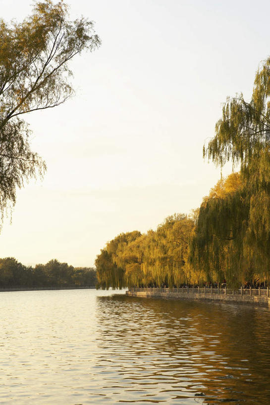 无人,公园,竖图,正面,湖,北京,中国,树,绿色,春天,休闲,放松,活力,摄影,东亚,彩图