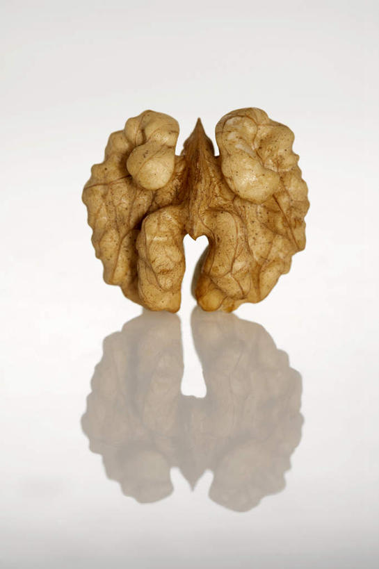 竖图,特写,白色背景,静物,形状,曲折,反射,生食,食品,坚果,褐色,小吃,饮食,一个,摄影,单个,简单,清新,蛋白质,健康食物,胡桃,坎坷,崎岖,彩图,影棚拍摄