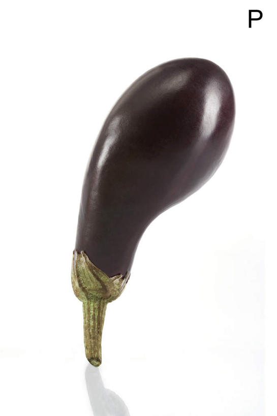 白色背景,农作物,茄子,蔬菜,静物,水果,英文,标志,材料,文字,字符,字母,生食,食品,标识,饮食,自然,概念,摄影,有机食品,英文字母,清新,健康食物,彩图