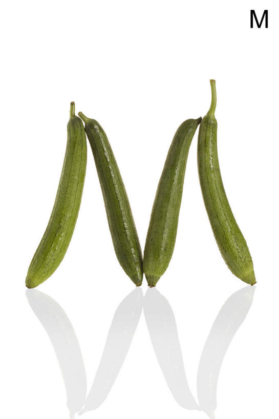 白色背景,农作物,蔬菜,静物,英文,标志,材料,文字,字符,字母,丝瓜,生食,食品,标识,饮食,绿色,自然,概念,摄影,有机食品,英文字母,清新,健康食物,彩图