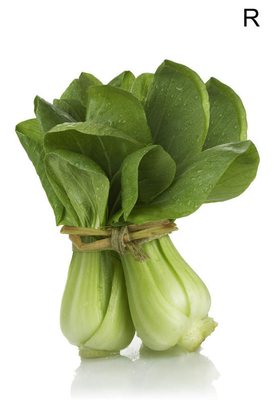 白色背景,农作物,蔬菜,静物,叶子,英文,标志,材料,文字,字符,字母,青菜,生食,食品,标识,绿色,自然,概念,摄影,有机食品,英文字母,清新,健康食物,彩图