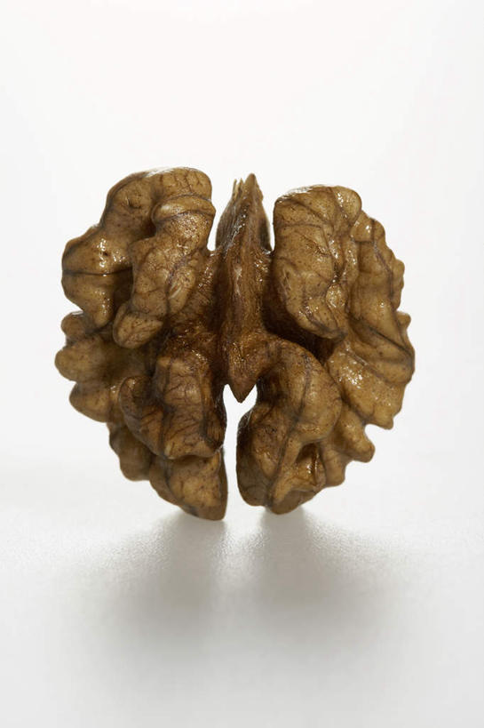 竖图,特写,白色背景,静物,曲折,生食,食品,坚果,褐色,小吃,饮食,一个,自然,摄影,单个,简单,清新,蛋白质,健康食物,胡桃,坎坷,崎岖,彩图,影棚拍摄