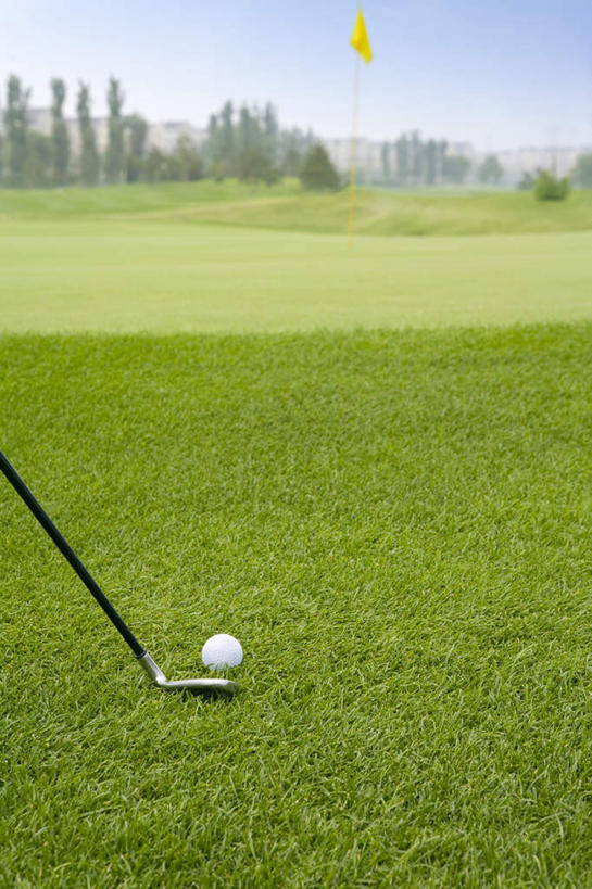 室外,特写,白天,运动,北京,中国,亚洲,挥杆,高尔夫球,球洞,草,绿色,休闲,击打,高尔夫球杆,东亚,万里无云,高尔夫球运动,休闲活动,彩图