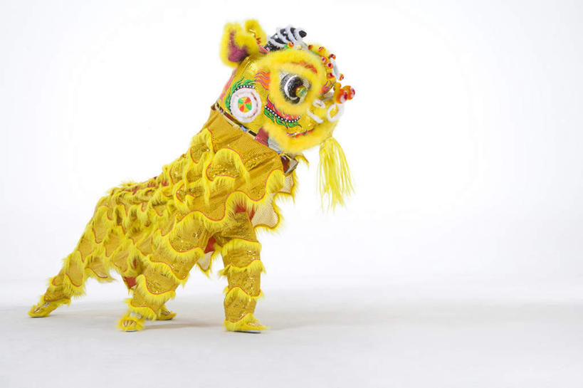 东方人,两个人,站,留白,白色背景,正面,侧面,民族服装,快乐,兴奋,运气,骄傲,狮子,北京,中国,春节,亚洲,舞狮,表演,咆哮,服装,朦胧,模糊,艺术,古典,文化,娱乐,表演者,传统,刺激,扮演,衣服,黄色,活力,服饰,古装,动作,演出,中国文化,亚洲狮,典礼,演出服,东亚,东亚文化,鬃毛,勇气,韵味,元旦,技能,亚洲人,中国人,彩图,影棚拍摄,传统服装,民俗服,舞蹈,传统文化,传统节日