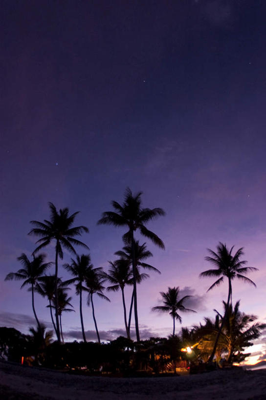 日落,棕榈树,密克罗尼西亚,亚洲,地形,星星,风景,天空,黄昏,热带气候,剪影,椰子树,彩图,沙岛