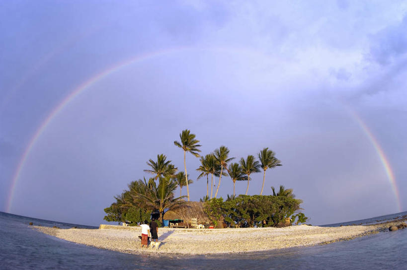 彩虹,海洋,棕榈树,密克罗尼西亚,亚洲,地形,天气,风景,天空,热带气候,椰子树,彩图,沙岛