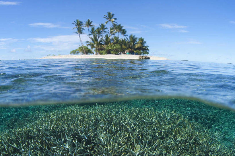 白天,海洋,棕榈树,密克罗尼西亚,亚洲,珊瑚,地形,水面,风景,天空,热带气候,暗礁,椰子树,彩图,沙岛