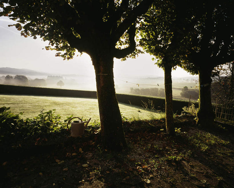 室外,白天,美景,法国,欧洲,地形,景观,草,树,风景,自然,景色,自然风光,剪影,利穆赞,彩图