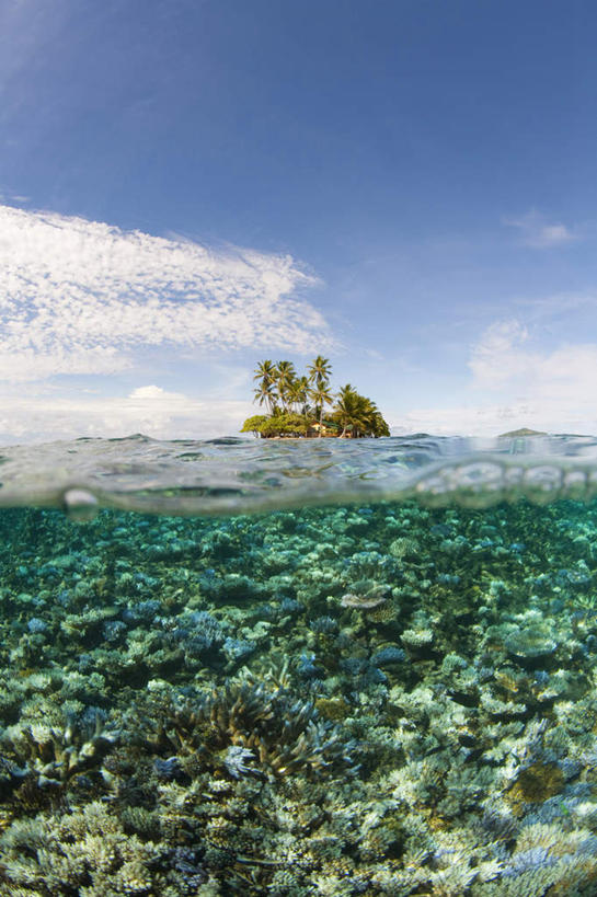 水下,海洋,棕榈树,密克罗尼西亚,亚洲,珊瑚,地形,水面,风景,天空,热带气候,暗礁,椰子树,彩图,沙岛