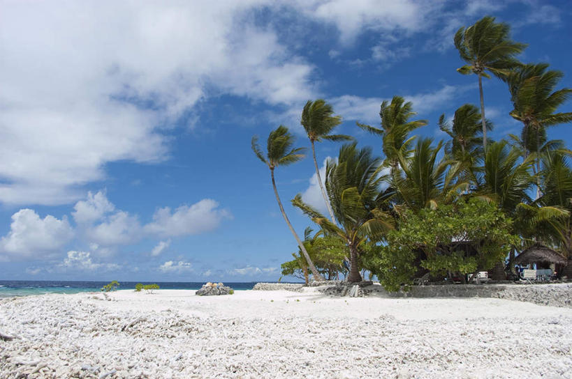 白天,海洋,棕榈树,密克罗尼西亚,亚洲,沙子,地形,云,风景,天空,热带气候,海滩,椰子树,彩图,沙岛