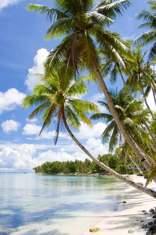 白天,海洋,棕榈树,密克罗尼西亚,亚洲,地形,云,风景,天空,热带气候,海滩,椰子树,彩图,沙岛