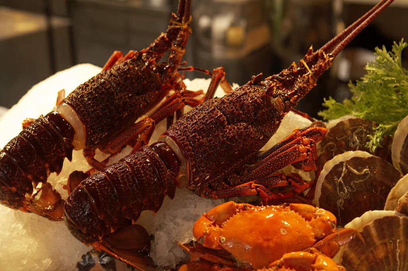 无人,横图,室内,特写,贝壳,北京,中国,亚洲,丰富,螃蟹,冰,食品,扇贝,饮食,摄影,清新,东亚,健康食物,贝类外壳,海螺壳,软体动物外壳,海产,彩图