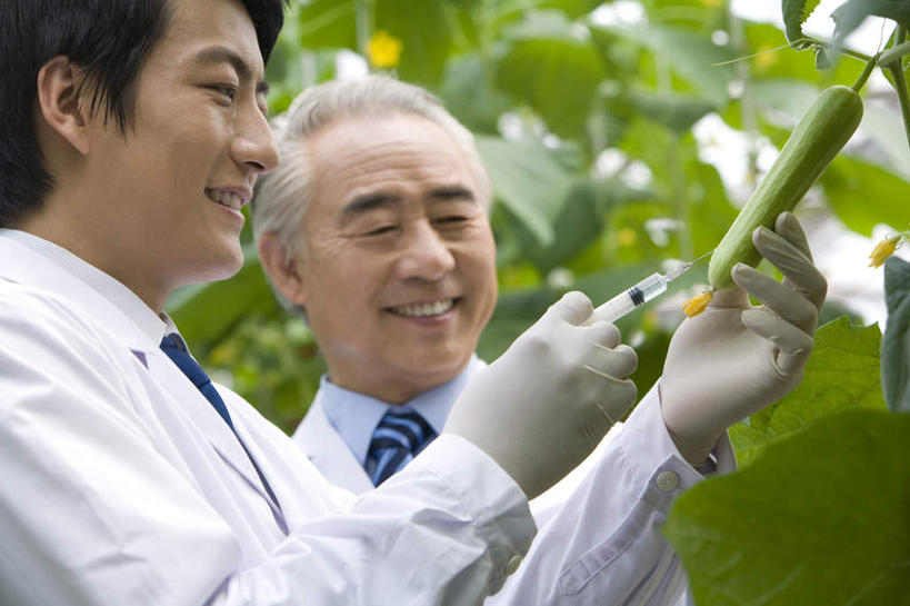 东方人,脸,头,脸颊,两个人,科学家,菜园,农场,笑,微笑,露齿笑,横图,室外,白天,侧面,快乐,幸福,智慧,农业,科技,蔬菜,叶子,北京,中国,亚洲,种植,检查,研究,工作,分析,科学,葫芦,食品,领带,温室,现代,肩膀,绿色,夏天,职业,健康,注射,摄影,生长,遗传研究,注射器,东亚,实验服,科学实验,植物学家,男人,男性,年轻男性,亚洲人,中国人,年轻人,头部,脸部,脸蛋,面部,技术员,彩图