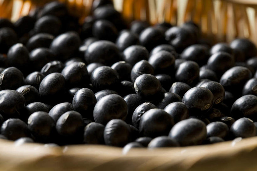 无人,横图,特写,豆,静物,许多,丰富,日本文化,篮子,黑豆,生食,日本料理,食品,很多,饮食,摄影,简单,健康食物,豆科植物,纯净,彩图