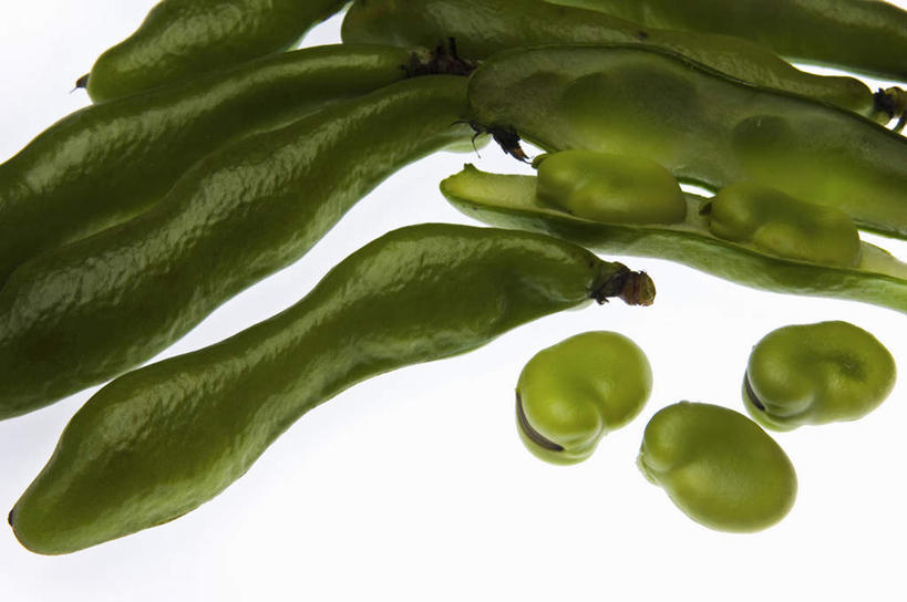 无人,横图,室内,特写,白色背景,豆,大豆,蔬菜,静物,毛豆,食品,饮食,绿色,摄影,简单,清新,健康食物,纯净,彩图,影棚拍摄