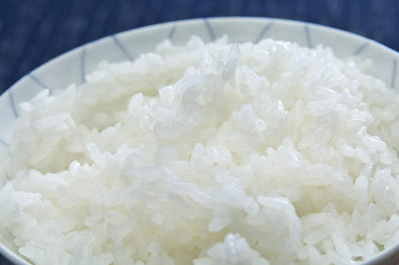 无人,横图,俯视,室内,特写,静物,白米,谷物,日本料理,食品,米,饮食,一个,摄影,单个,简单,清新,健康食物,纯净,彩图,高角度拍摄,影棚拍摄