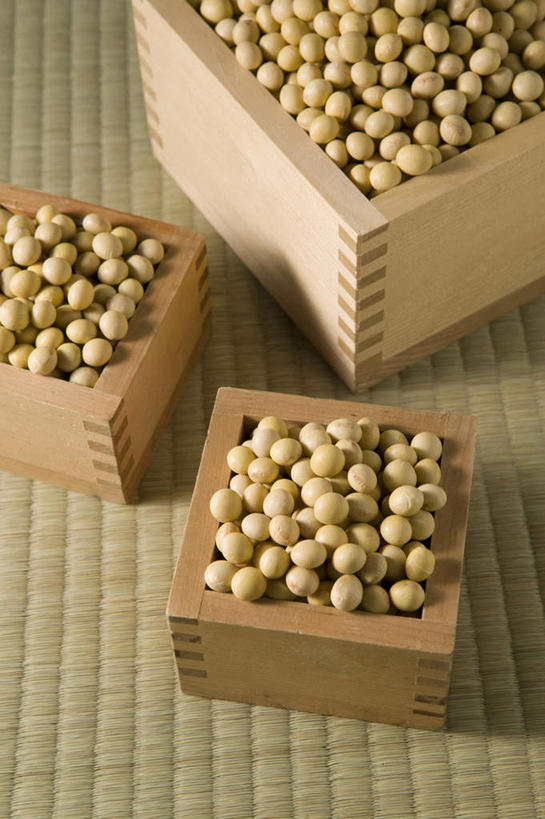 无人,竖图,俯视,室内,竹子,大豆,静物,许多,木制,材料,席子,生食,食品,很多,饮食,盒子,摄影,堆,简单,干的,健康食物,豆科植物,纯净,彩图,高角度拍摄,影棚拍摄