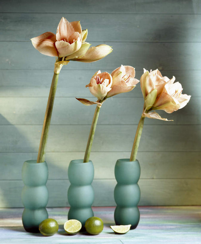 无人,竖图,花瓶,蓝色背景,木制,园艺,野花,排列,蓝色,绿色,自然,插花,花束,夏天,放松,摄影,生长,生活方式,享乐,简单,清新,华贵,酸橙,设计,彩图,影棚拍摄,欢乐