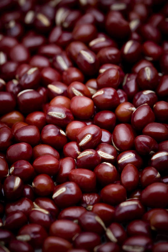 无人,竖图,俯视,室内,特写,豆,静物,许多,丰富,日本文化,生食,日本料理,食品,很多,饮食,摄影,简单,赤豆,健康食物,豆科植物,纯净,彩图,高角度拍摄,影棚拍摄