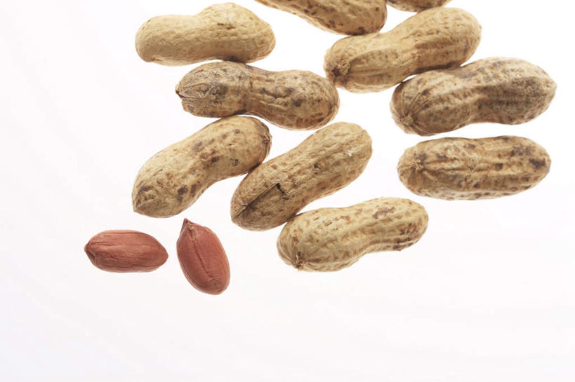 无人,横图,俯视,室内,白色背景,花生,静物,许多,食品,坚果,很多,饮食,摄影,影棚,简单,清新,摄影棚,健康食物,纯净,彩图,高角度拍摄,影棚拍摄,拍摄