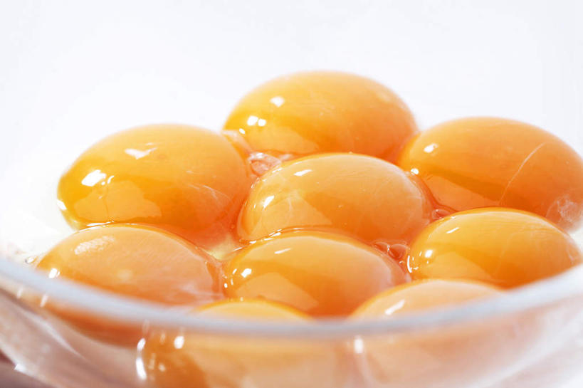 无人,横图,室内,特写,白色背景,静物,蛋黄,鸡蛋,生食,食品,主食,饮食,碗,摄影,清新,卵,彩图,影棚拍摄