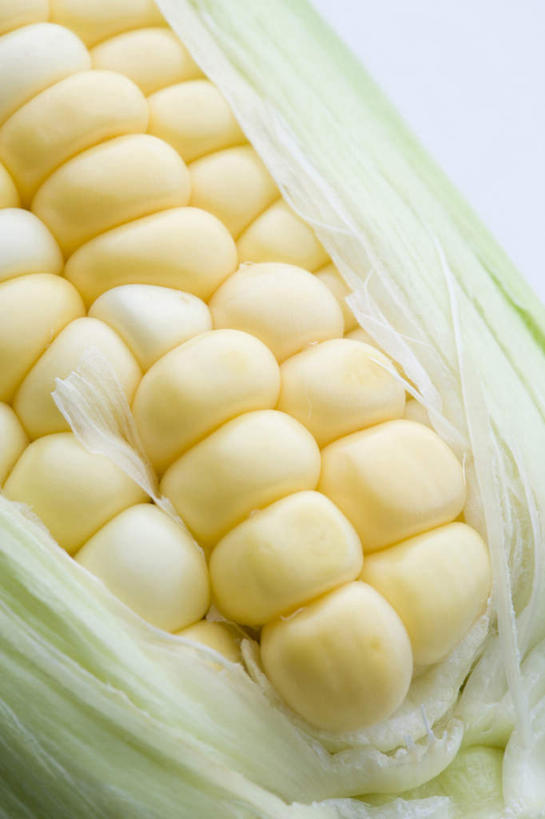 无人,竖图,室内,特写,白色背景,玉米,蔬菜,静物,新鲜,棒子,玉蜀黍,食品,饮食,食物,一个,黄色,摄影,有机食品,绿色食品,单个,外壳,苞米,简单,清新,苞芦,健康食物,纯净,苞谷,包谷,大蜀黍,番麦,薏米包,玉高粱,玉麦,珍珠米,彩图