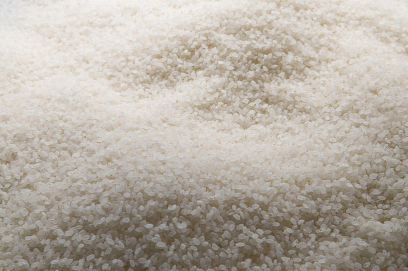 无人,横图,室内,静物,许多,丰富,白米,谷物,生食,食品,米,很多,饮食,摄影,堆,简单,健康食物,纯净,彩图