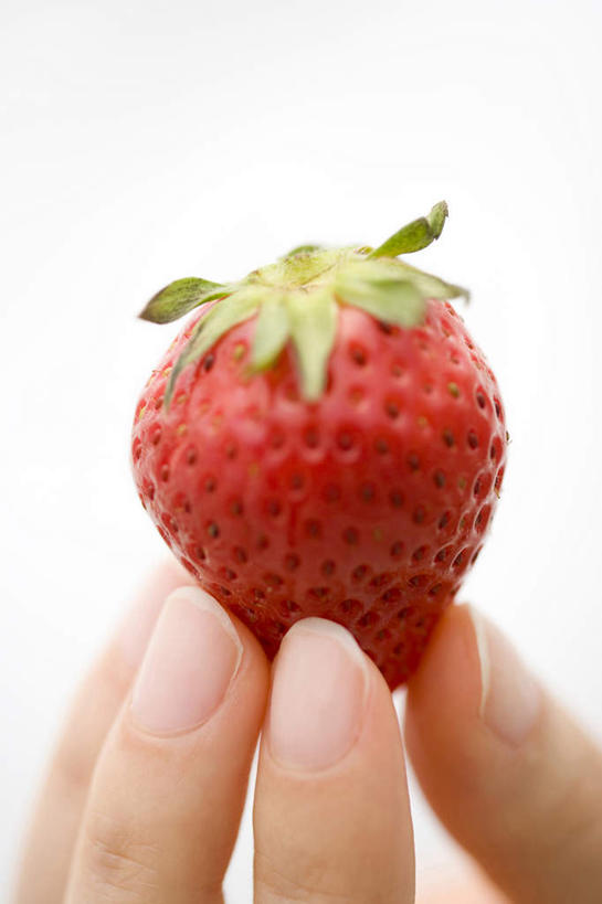 手,竖图,留白,白色背景,侧面,西红柿,拿着,红色,自然,摄影,清新,纯净,彩图,影棚拍摄