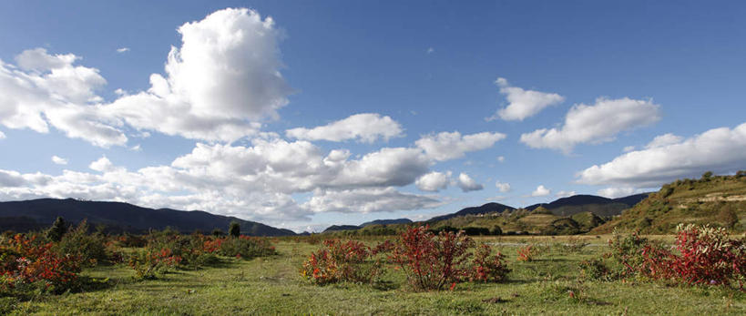 无人,横图,室外,美景,香格里拉,中国,亚洲,景观,草,自然,景色,摄影,自然风光,东亚,云南省,秋天,彩图