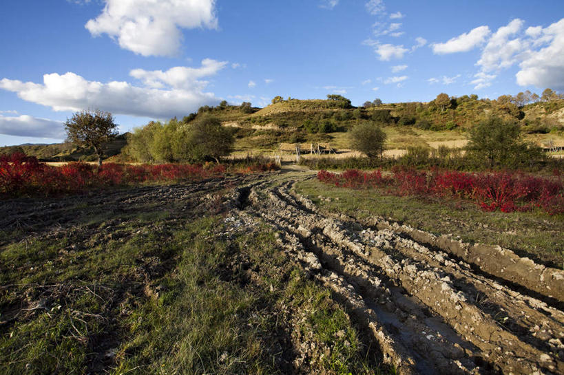 无人,横图,室外,美景,路,香格里拉,中国,亚洲,景观,自然,景色,摄影,自然风光,东亚,云南省,秋天,彩图