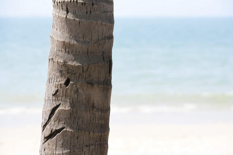 无人,横图,室外,白天,留白,正面,海洋,水,棕榈树,三亚,日光,中国,亚洲,水平线,树,树干,蓝色,波浪,夏天,摄影,宁静,热带气候,肖像,东亚,海南岛,万里无云,海滩,彩图