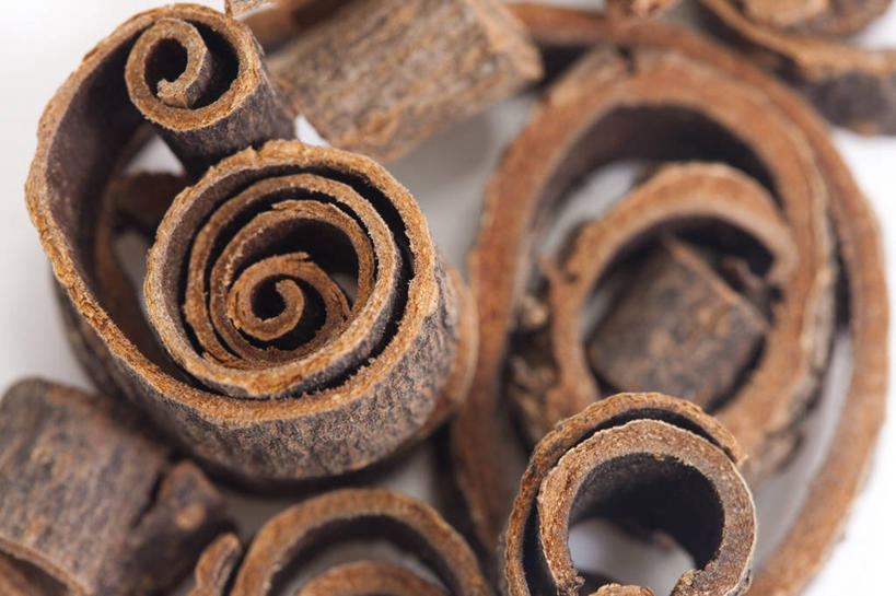 无人,横图,特写,静物,北京,中国,亚洲,药,食品,草药,饮食,饮料,干花,摄影,有机食品,影棚,多样,中国文化,摄影棚,营养品,中医,东亚,健康食物,彩图,影棚拍摄,拍摄,传统文化,厚朴